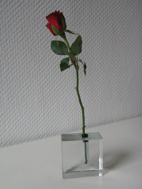 Bild 1 von Solitär Vase
