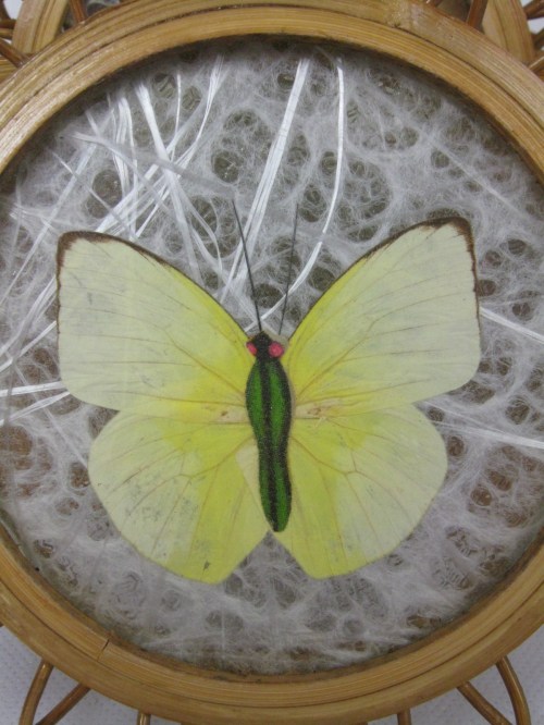 Bild 4 von 50er Schmetterlings Untersetzer