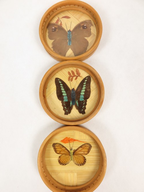 Bild 4 von 60er Untersetzer Schmetterling