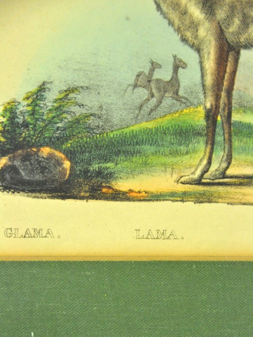 Bild 3 von Lihographie 1840 Arnz