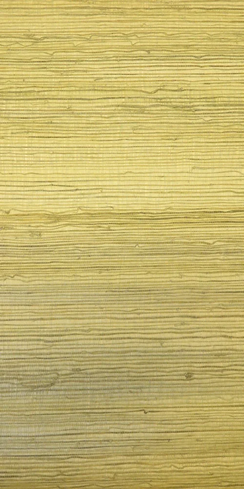 Wallpaper Bast Grün