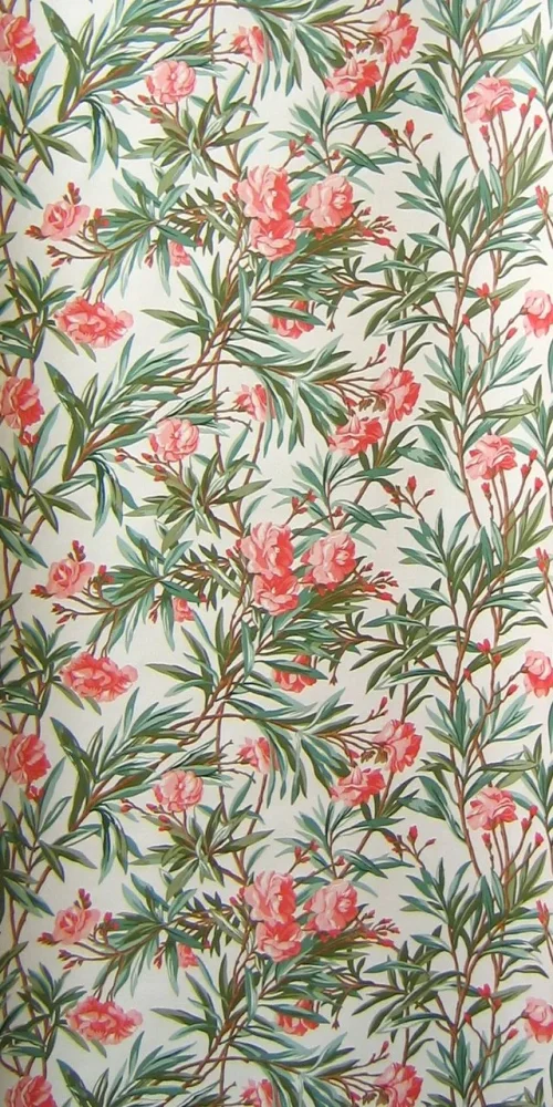 Wallpaper Oleander