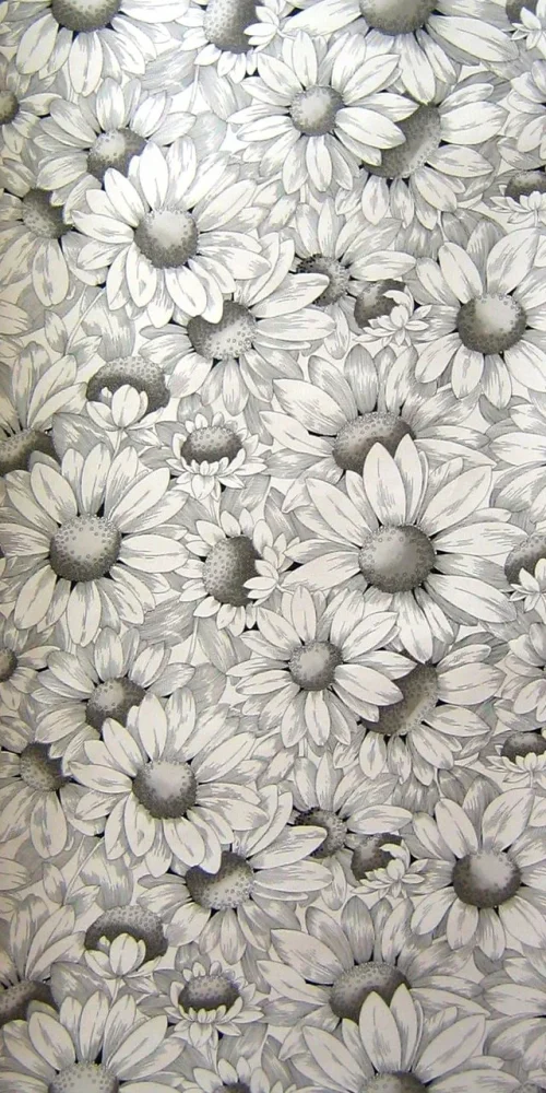 Wallpaper Blacky