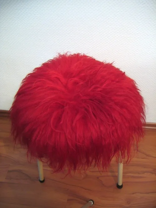 Bild 2 von 