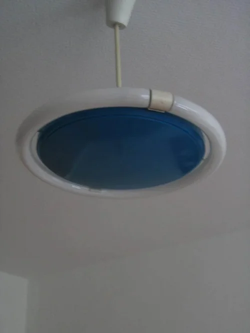 Bild 2 von 