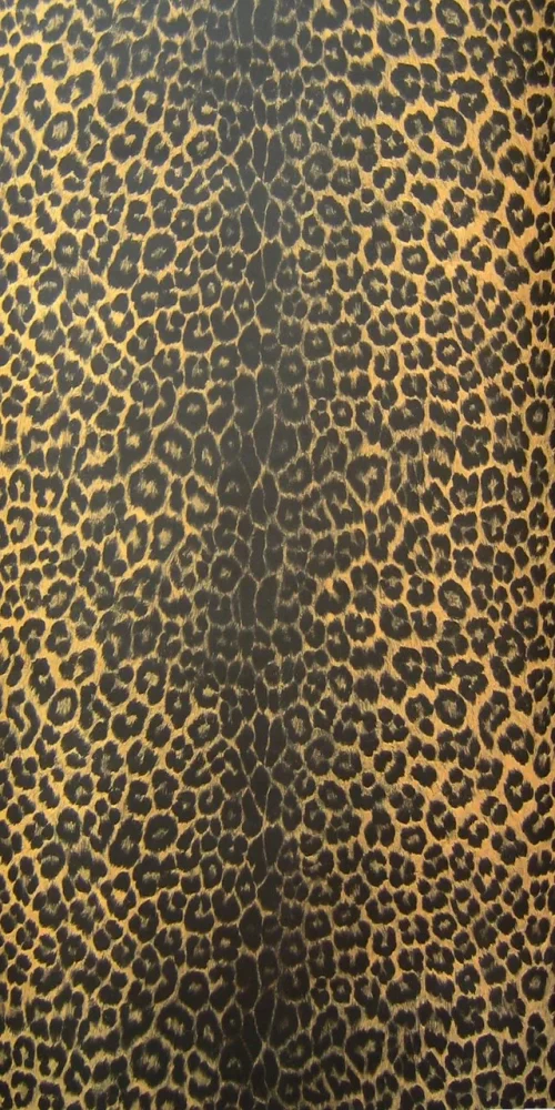 Wallpaper Leopard