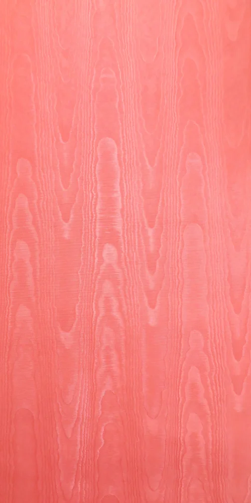 Wallpaper Rote Liebe