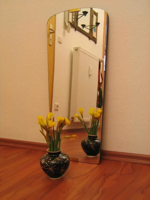 Bild 2 von 