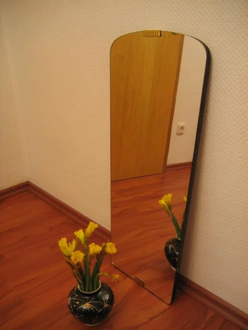 Bild 4 von 