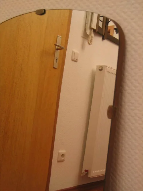 Bild 2 von 