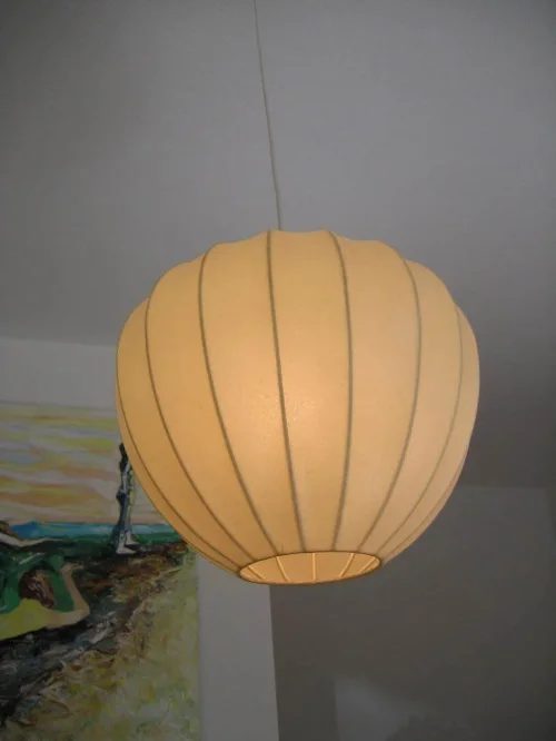 Bild 1 von Lederlampion