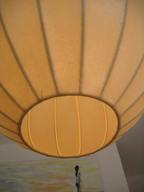 Bild 2 von Lederlampion