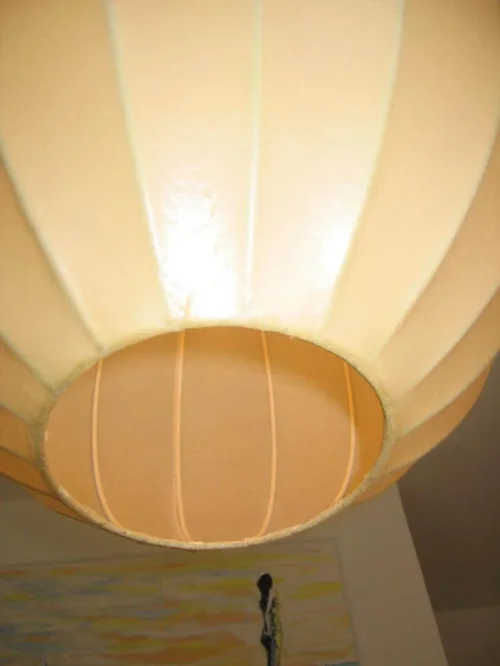 Bild 3 von Lederlampion