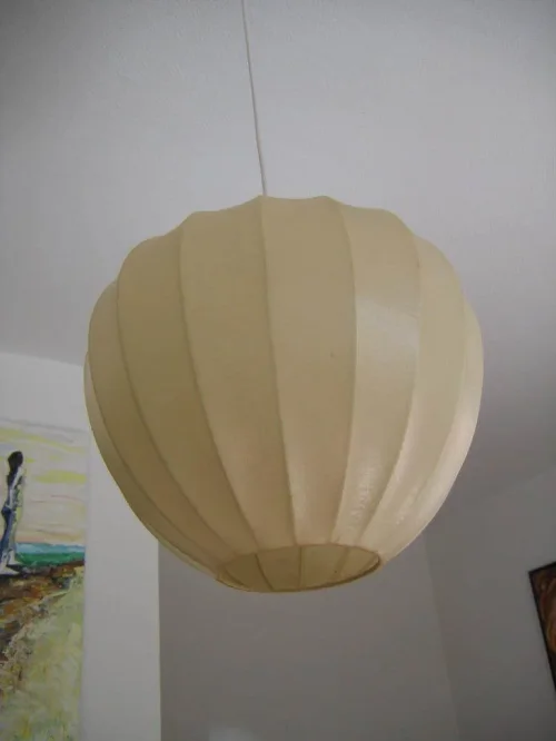 Bild 6 von Lederlampion