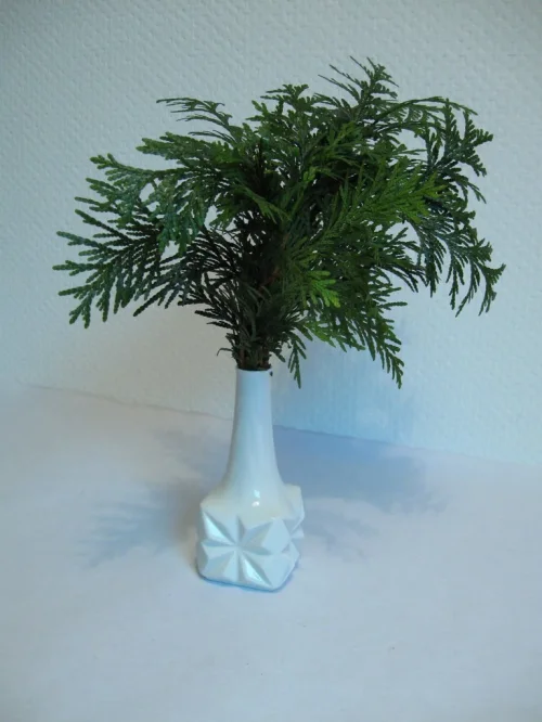 Bild 4 von Schumann Porzellanvase