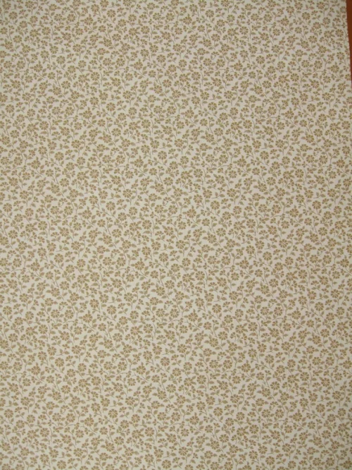 Bild 3 von Tapete Fidelitas