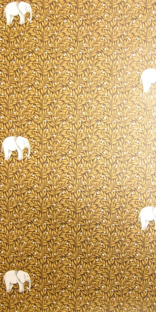 Wallpaper Observed Elefant