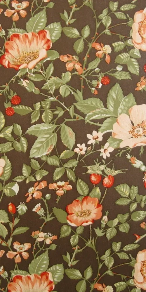 Wallpaper Rosa Canina