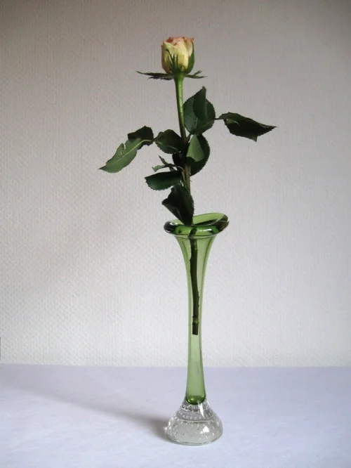 Bild 4 von 