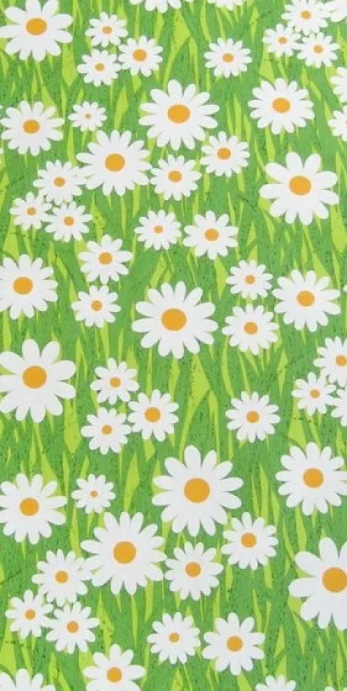 Wallpaper Matricaria