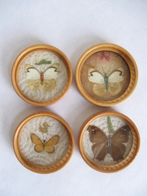 Bild 2 von 50s butterfly coaster