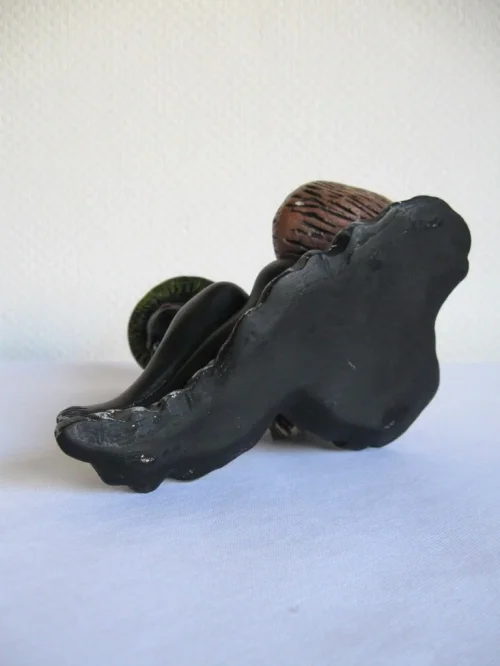 Bild 6 von 