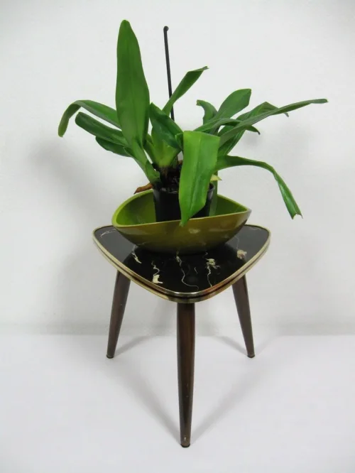 Bild 4 von 50er Blumenschemel