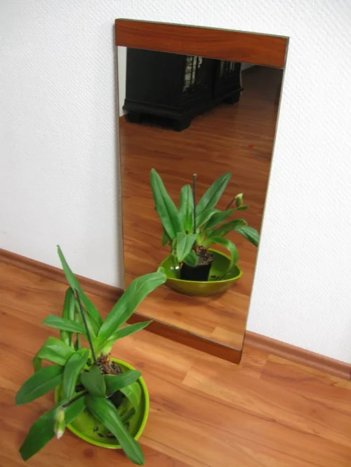 Bild 2 von 