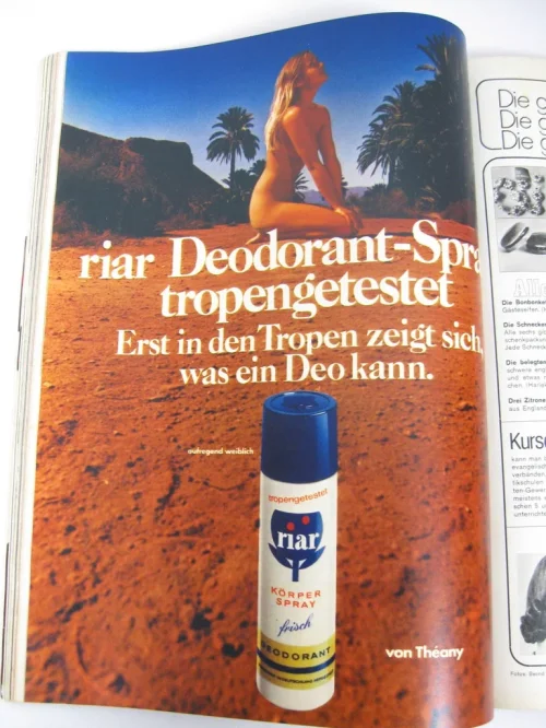 Bild 3 von 
