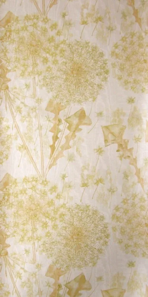 Wallpaper Dandelion