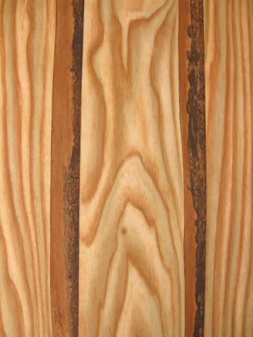 Bild 3 von Tapete Barky