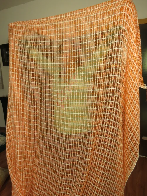 Bild 6 von 70er Supergardine