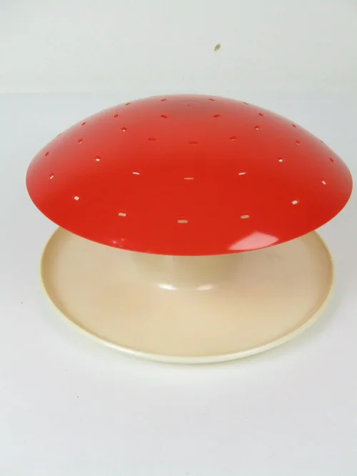 Bild 1 von 70er Käseigel Pilz