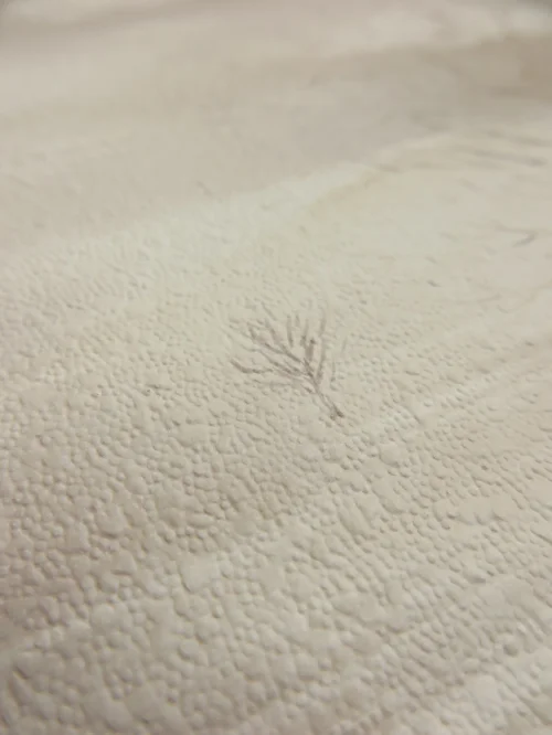 Bild 4 von Tapete Drevo