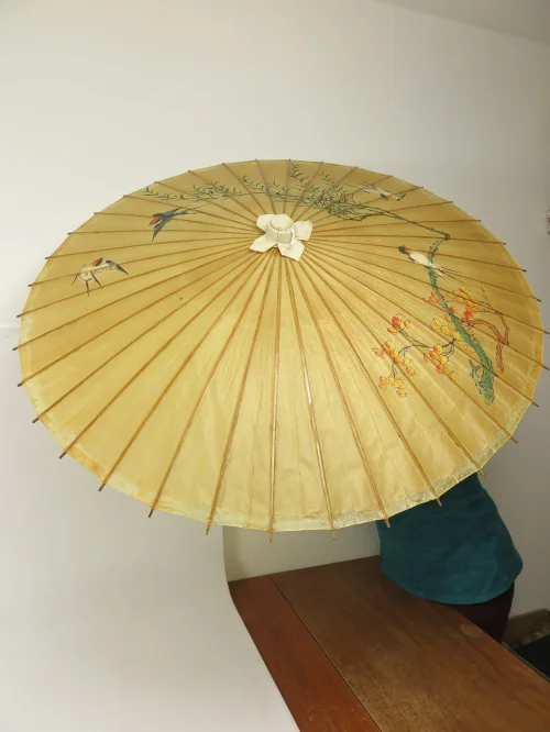 Bild 2 von Japanischer Sonnenschirm