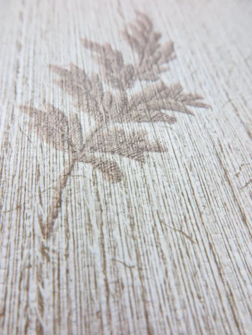 Bild 4 von Wallpaper rocket