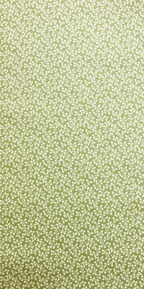 Bild 3 von Tapete Alge