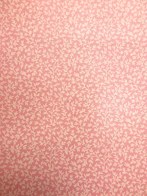 Bild 3 von Tapete Katte