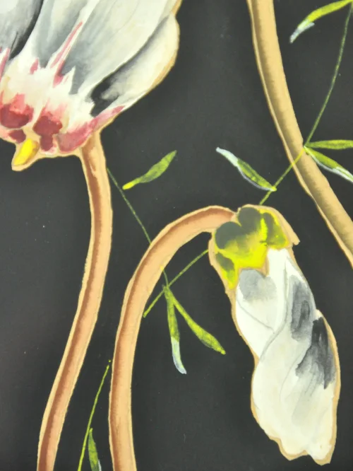 Bild 2 von 50s Watercolour Müller