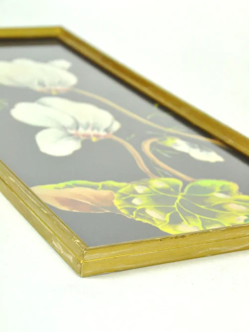 Bild 5 von 50s Watercolour Müller