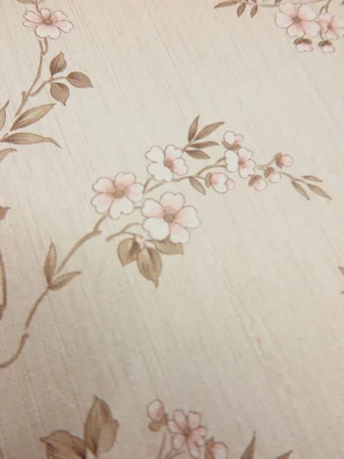 Bild 4 von かおり壁紙