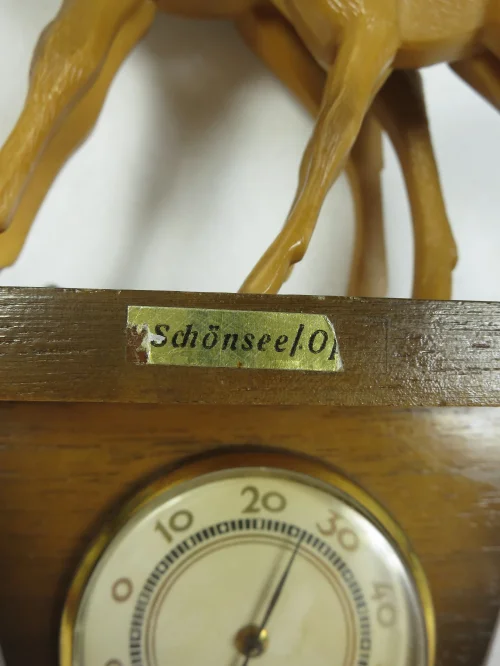 Bild 3 von 60s Thermometer