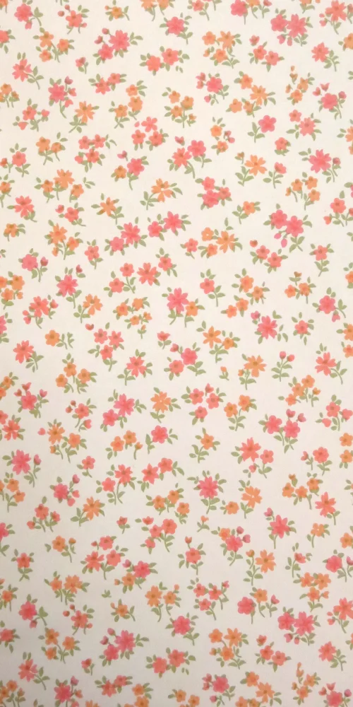 Wallpaper Nim