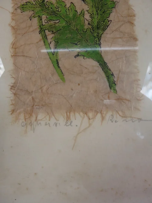 Bild 3 von 60er Bild