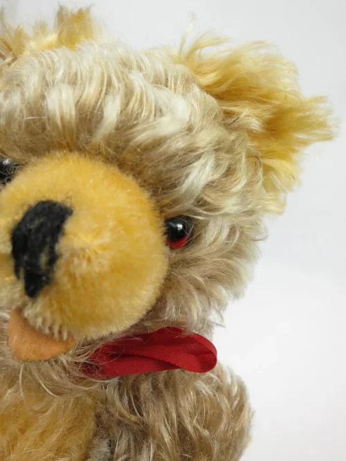 Bild 5 von Steiff Teddy