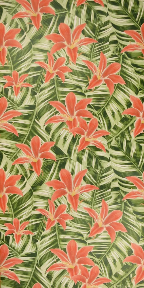 Tapete King Lilly
