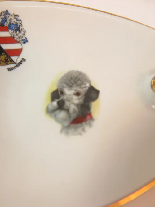 Bild 2 von 50er Ascher Pudel