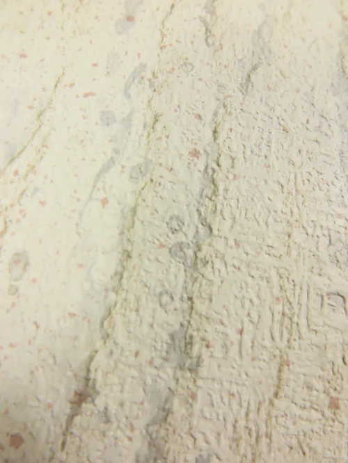 Bild 4 von Tapete Machonia