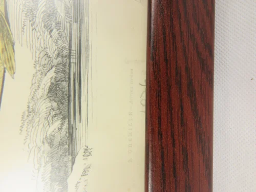Bild 2 von 1876  Radierung Kaulbarsch