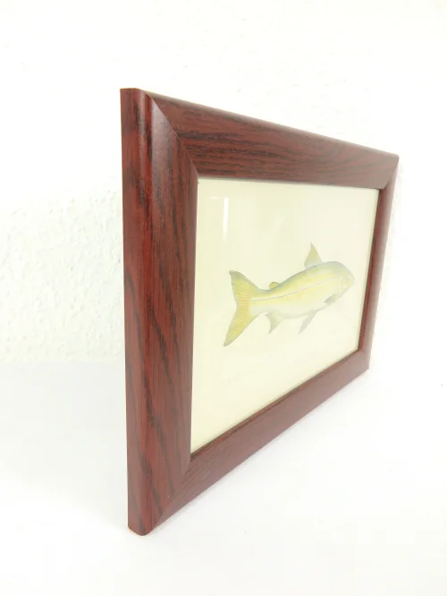 Bild 2 von 1876 Bild Felchen Stich/Radierung